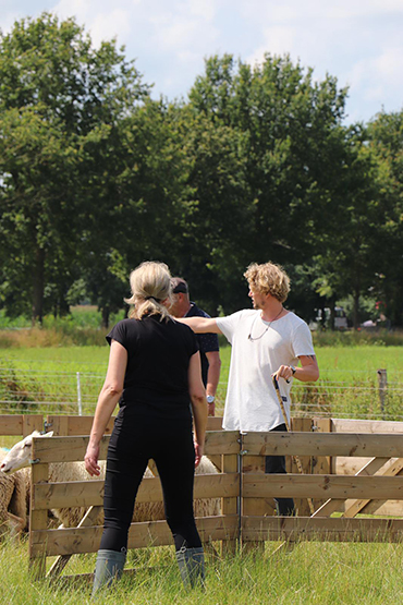 Workshop schapendrijven